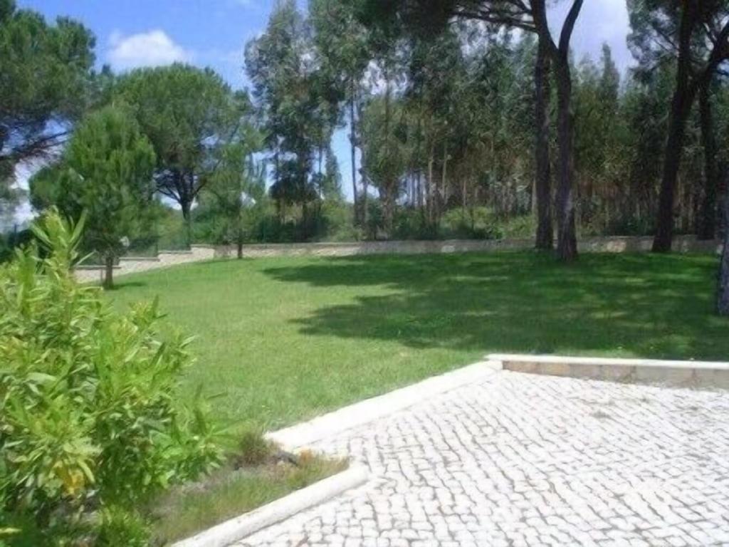 São João da Ribeira Quinta Do Alto Dos Pinheirosヴィラ エクステリア 写真