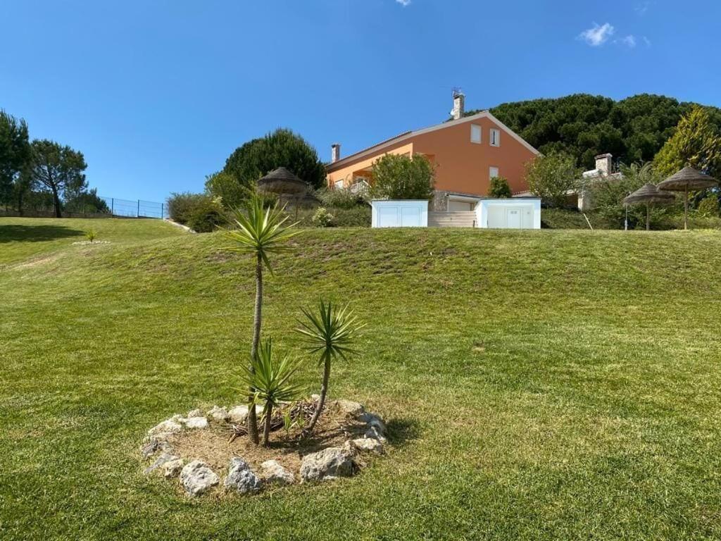 São João da Ribeira Quinta Do Alto Dos Pinheirosヴィラ エクステリア 写真