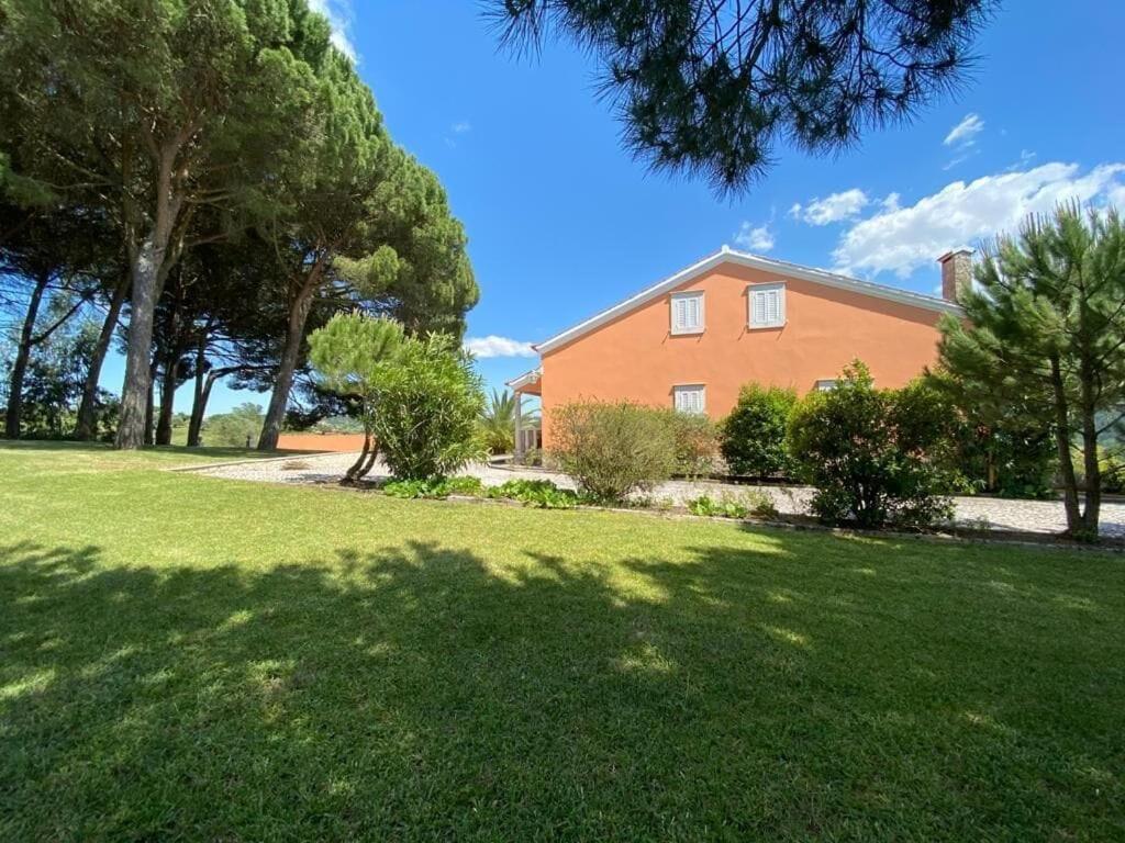 São João da Ribeira Quinta Do Alto Dos Pinheirosヴィラ エクステリア 写真
