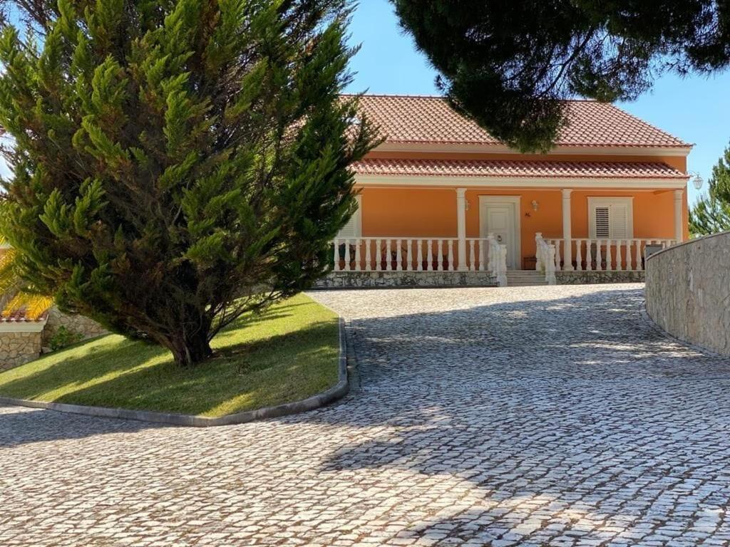 São João da Ribeira Quinta Do Alto Dos Pinheirosヴィラ エクステリア 写真